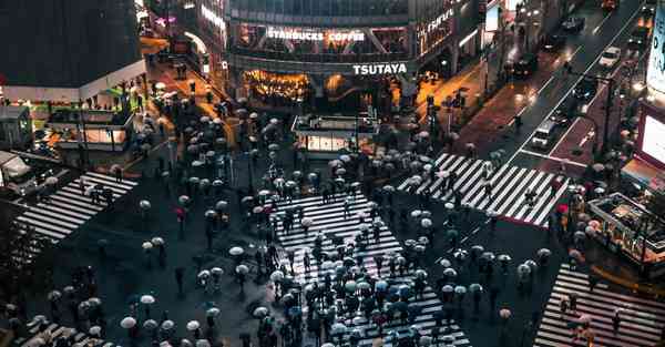 属猴2024年8月28日运势,属猴人2024年8月28日财运,生肖猴2024年8月28日运势